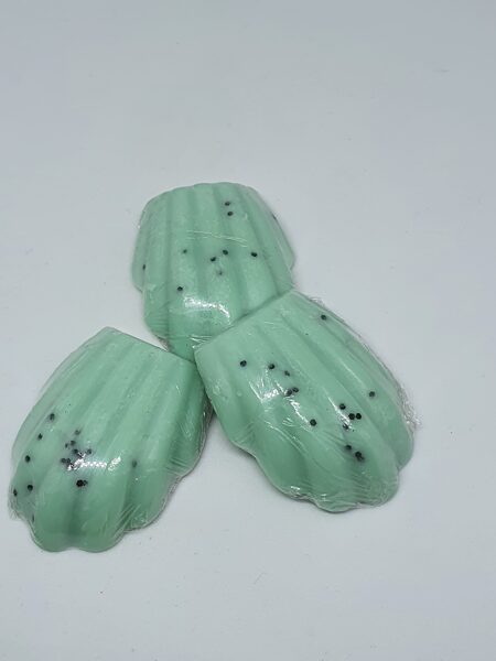 Fondant Madeleine menthe chocolat