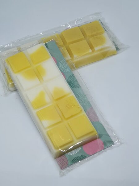 Fondant snap bars 10 carrés "eucalyptus "