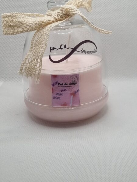 Bougie sous clauche "pet de singe"