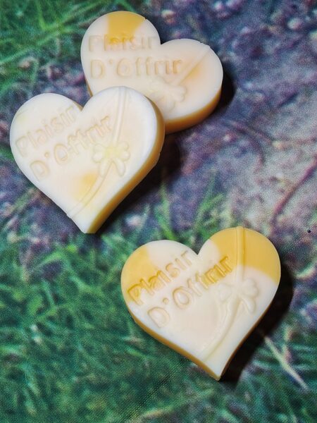 Fondant cœur plaisir d'offrir ×4